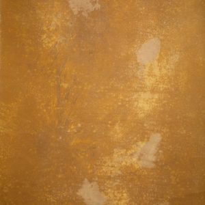 CB202207 - Gold - White