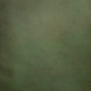 CB202216 Green