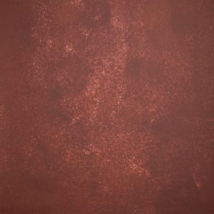 CB202217_Light-Dark-Brow